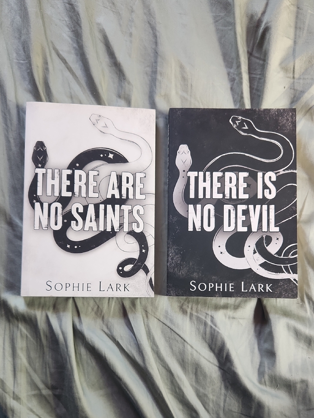 Sinners Duet Bundle: There Are No Saints & There Is No Devil - Sophie Lark
